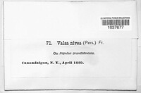 Image Associated With the Occurence